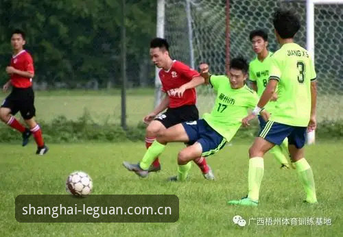 乐冠体育平台深度分析：老用户亲述APP下载与数据评测的常见误区